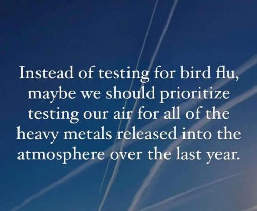 photo_2025-04-24_18-10-26