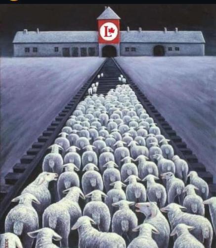 FB_IMG_1745787997135