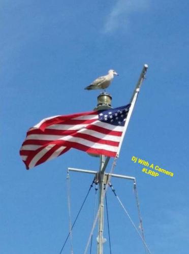 Screenshot_20250425_063611_Gallery