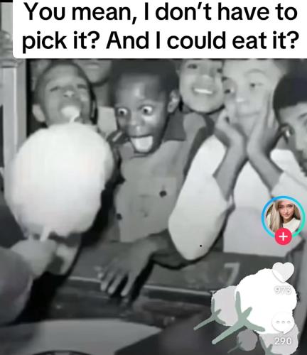 E1E00A0B-A205-47F1-B4AB-9B516C97EEA9-9617-000005D956D4631B