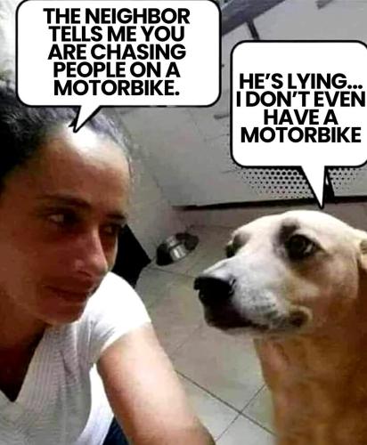 FB_IMG_1744052815044