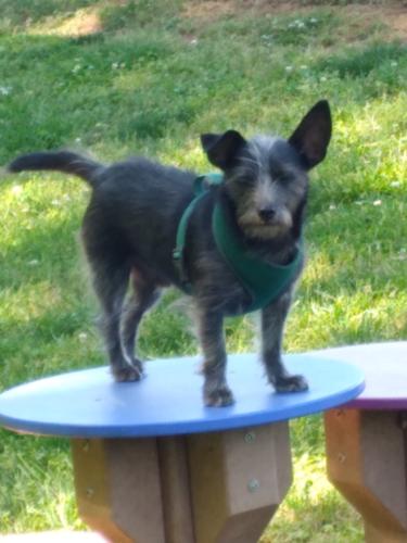 Resized_20250428_160455