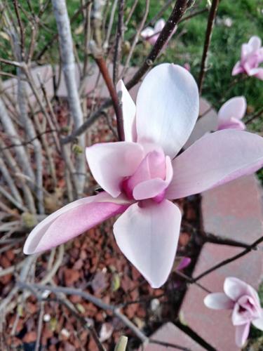 21919890-edc7-48fb-bb77-4b710ec0ce21