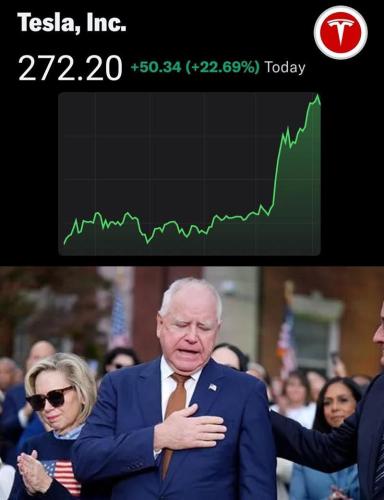 Someone check tanpon tim