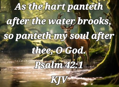 5a521add-a6a4-4f08-966e-152376cb4c1a