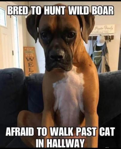 04BE5B6A-214E-4E90-917A-EE6556700F8E