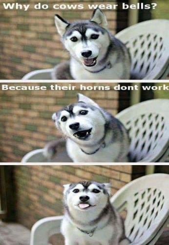 FB_IMG_1555195897180