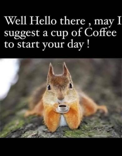 487458724_579236658504357_893602505702274316_n