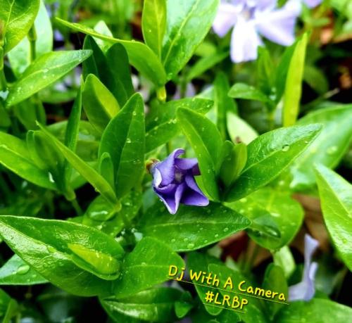 Screenshot_20250405_160309_Gallery