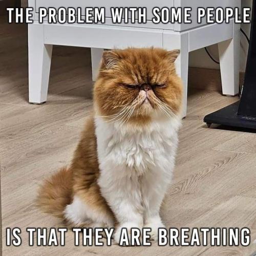 0cd6dde261f17eaed89176ffea2fc6b3