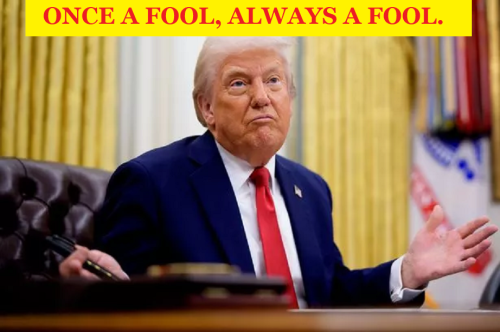 488719253_1169475007993725_1265902181445845114_n