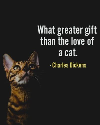 487837512_632540246349117_4878568015343609588_n