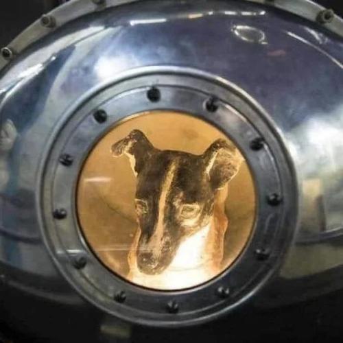 20250422_221125