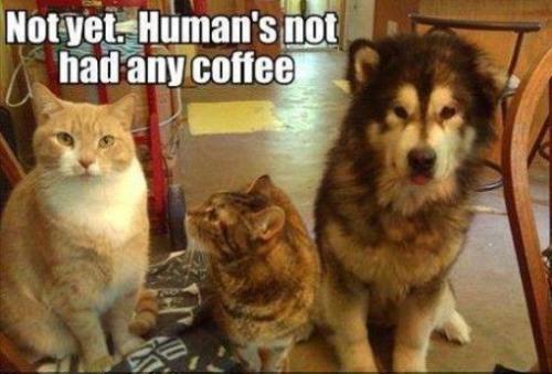 17fc688759e6cc84c4f34cc7aeaaadb4