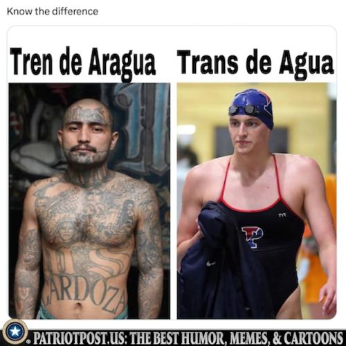 01JRT6E29WNBPXZDVQENZQQTVZ