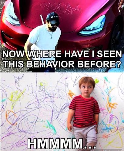 010194b2-7e7a-4eb9-abd0-580366a3dd3a