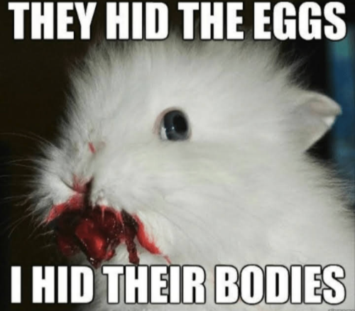 Screenshot_20250420-073434~2