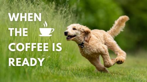 canva-coffee-inspirational-meme-k4fO3idJVJE