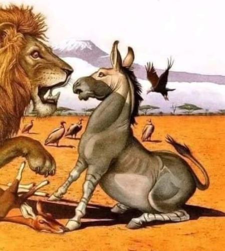 fbb4c6de-85c5-4b41-9ac5-be24da2a4476