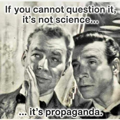 image_55E415B4-A099-44D4-8350-6C7F8E87FD4A