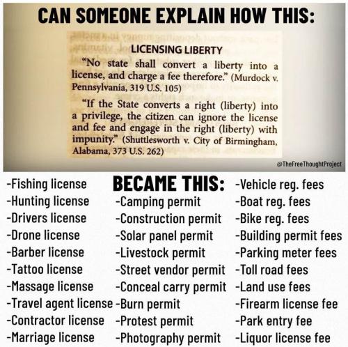 photo_2025-04-19_23-10-25