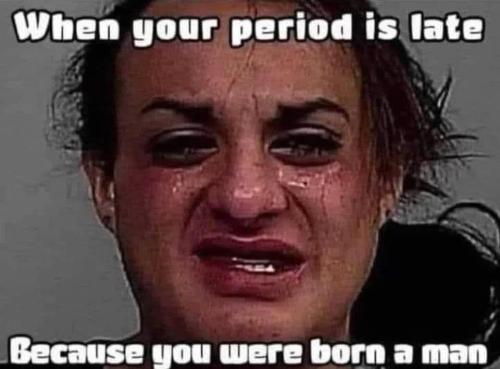 488389091_24186325680967908_1165061907969977612_n