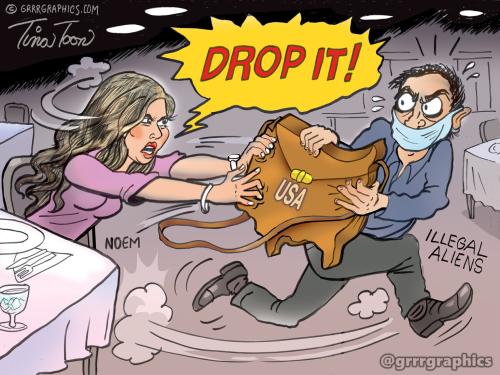 noem_purse-illegal-aliens-USA-Tina-Toon-1536x1155