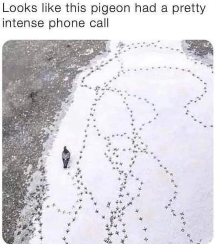 Screenshot_20250414_132533_Gallery