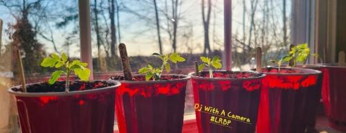 Screenshot_20250419_185507_Gallery