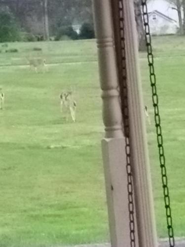 IMG_20250404_064042984