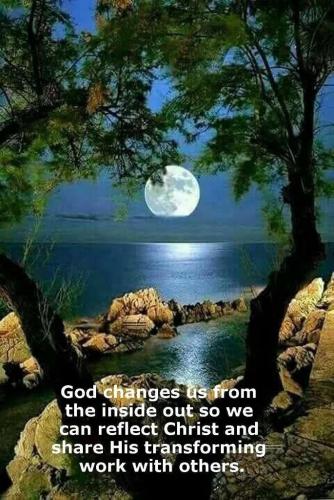 622a7203-e014-4cbc-a54d-3b76f458471e