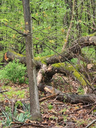 9983dc87-e352-4370-86b2-96fe2d552441