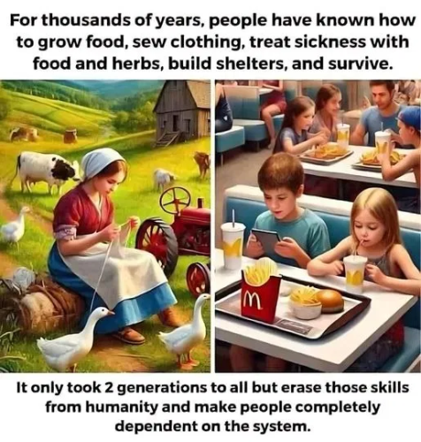 image_2025-04-25_060937998