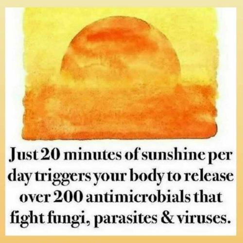 photo_2025-04-25_21-40-33