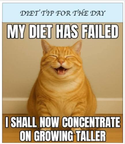 FB_IMG_1745183421974