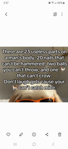 Screenshot_20250408_145718_Gallery