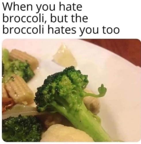 Screenshot_20250407_114402_Gallery