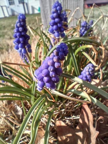 daed2775-e9e2-41e9-b260-05af95428756