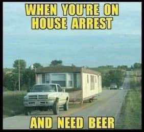 485896138_23898230403113946_7511878544537855287_n