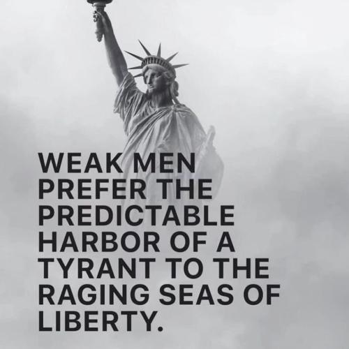 IMG_20250401_033449_111