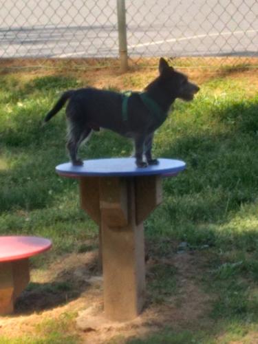 Resized_20250428_160419