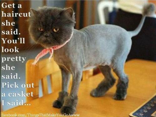 1b6e19184516d5a77d69ac861490c01b