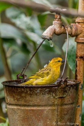 20250426_080651