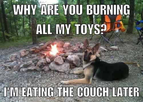 de6e4f83df4f16d892d9f10e6e05b827