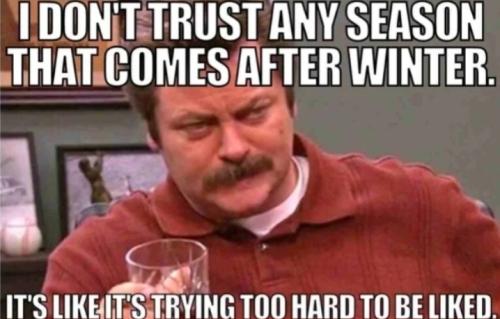 Screenshot_20250417_115008_Gallery