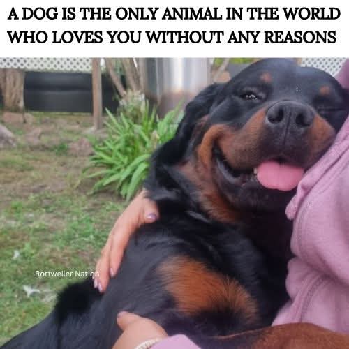 FB_IMG_1744146384303