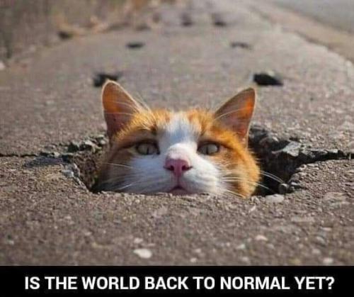 e32875b4df0bea5ac585ac1b0ef14909