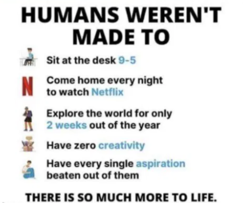 image_2025-04-07_064839031