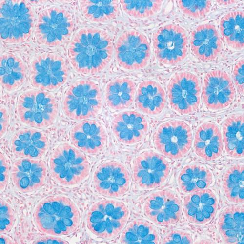 67894d8a-96be-40ee-b1d7-d1ffd123b9bc