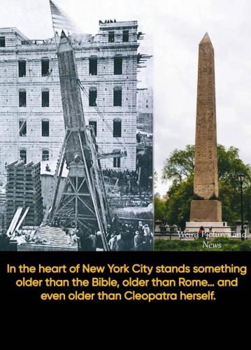 c7bfc7d6-e944-4f1c-9512-1e30a44f68cc